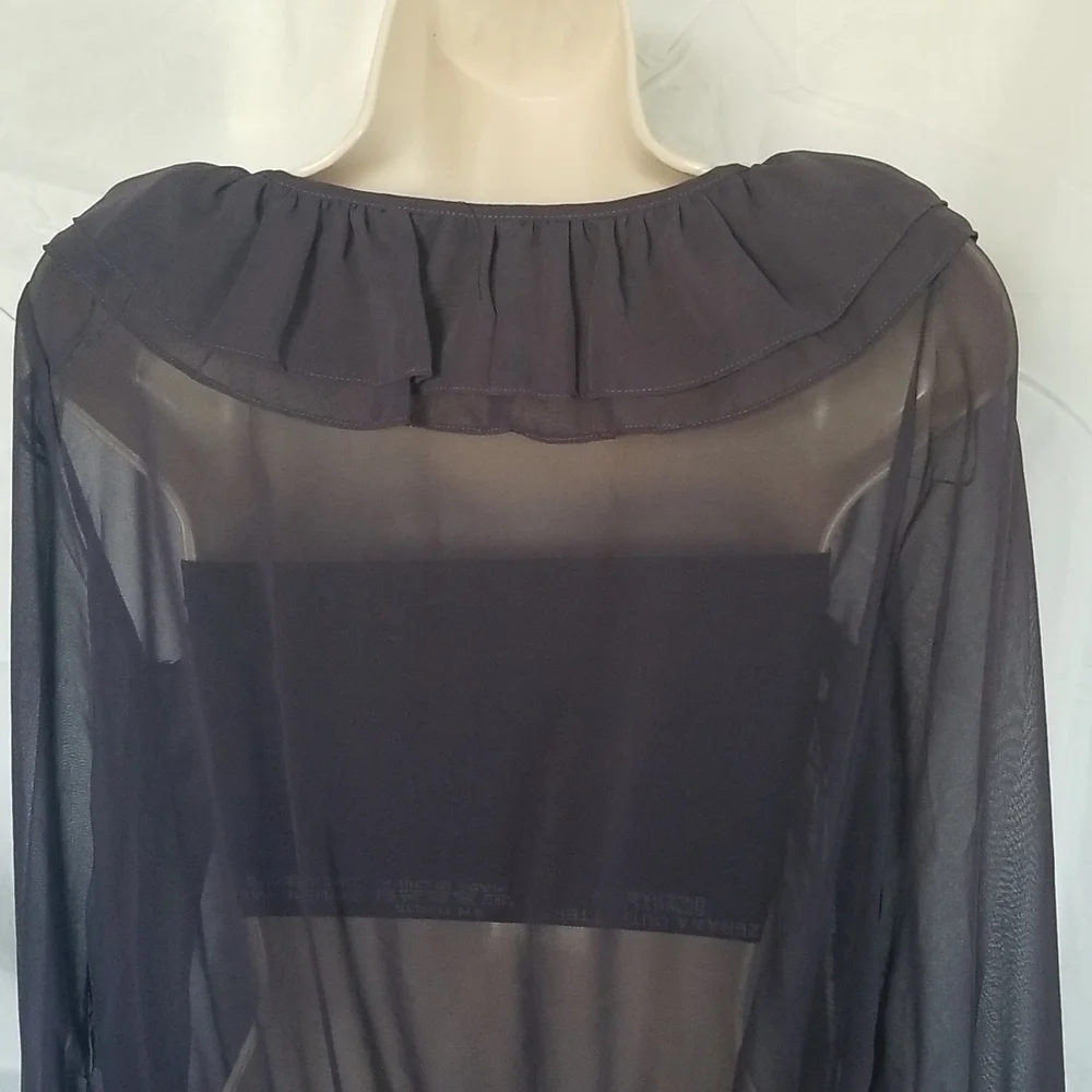 Sheer Ruffle Tie-Neck Blouse - Picture 5 of 9